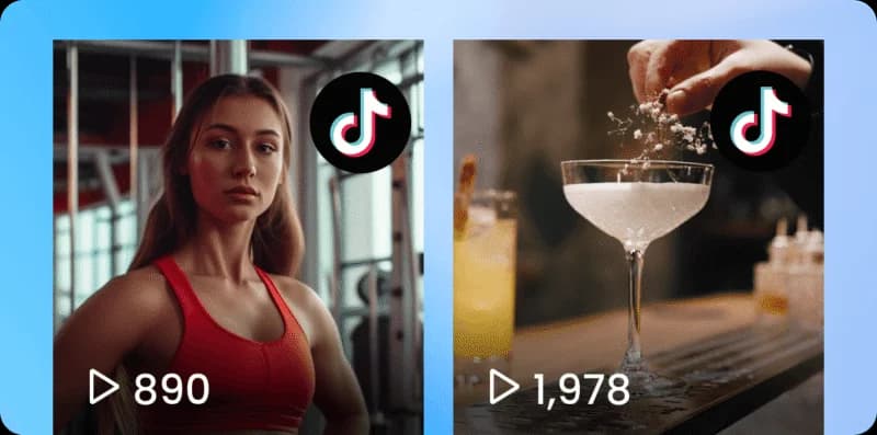 TikTok feed embed